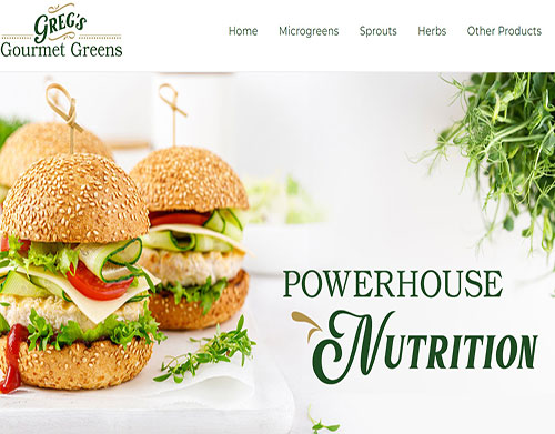 Website Design Gregs Gourmet Greens Poncha Springs Salida CO